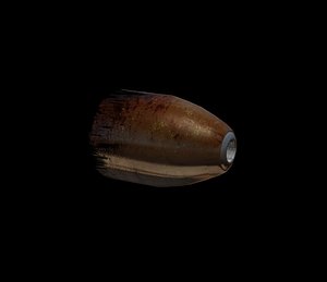 Bullet